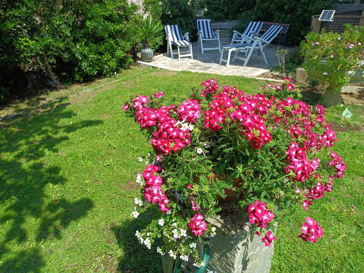 Il Giardino A Boccadasse Genova Eksteriør bilde