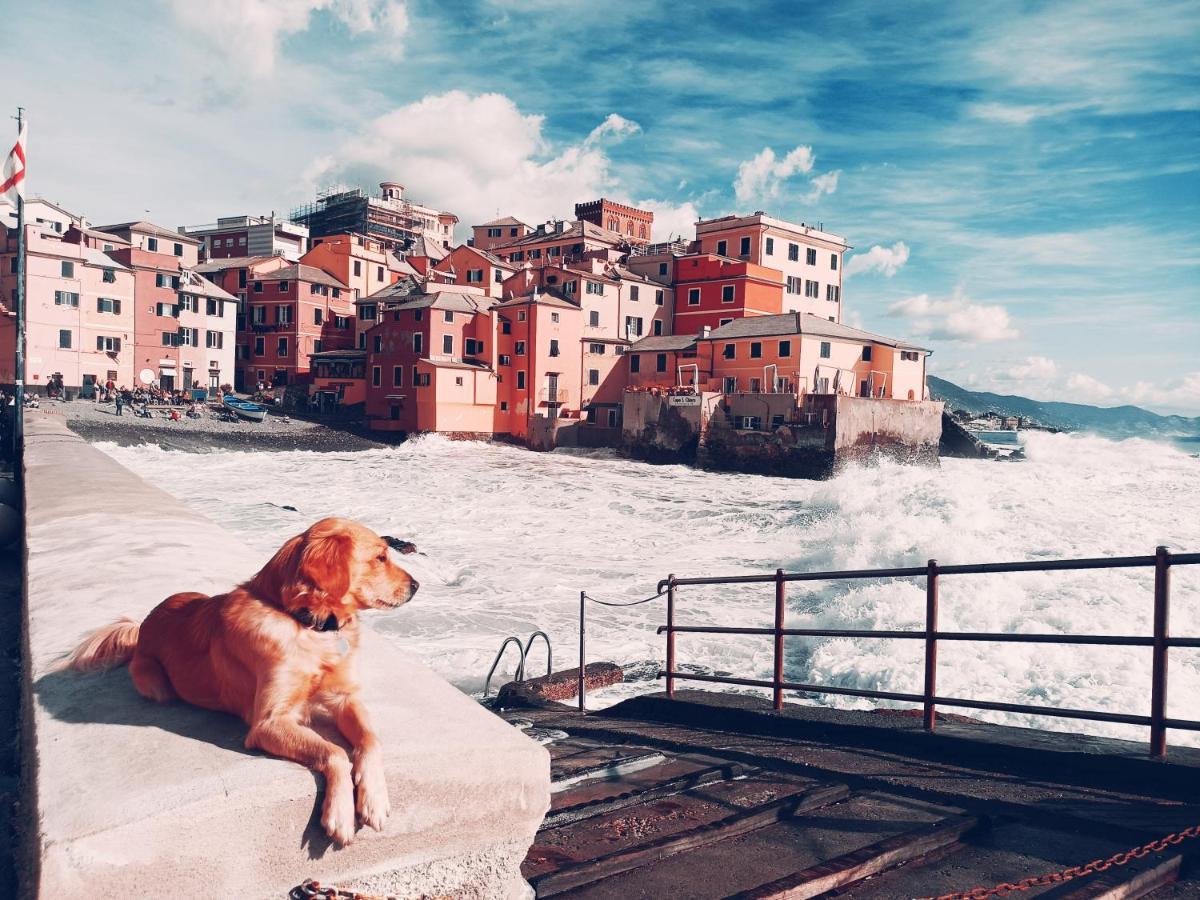 Il Giardino A Boccadasse Genova Eksteriør bilde